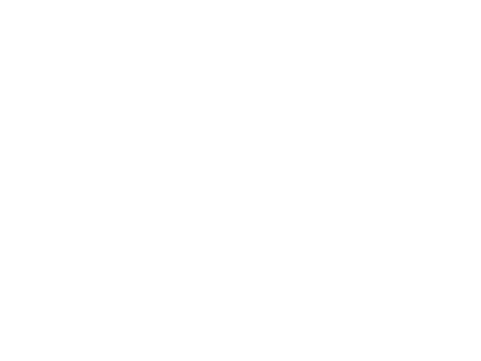 Team Spirit Logo
